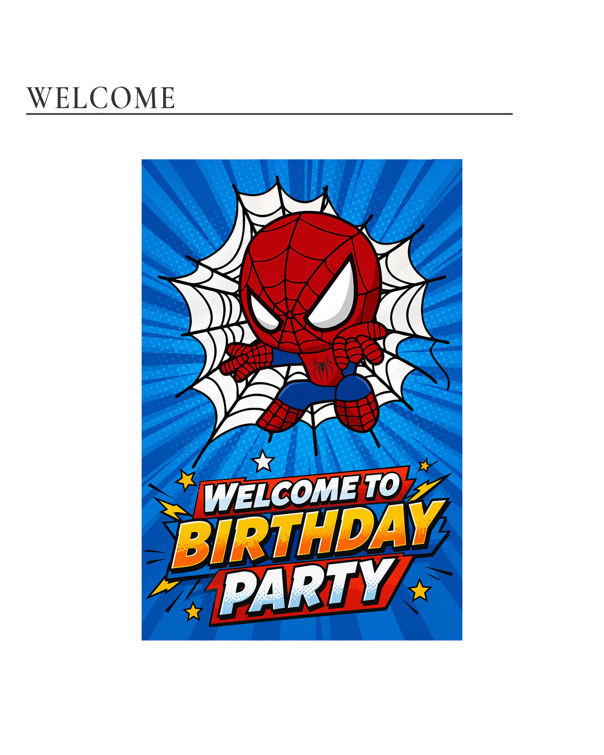 Spider-Man Birthday Decoration Bundle